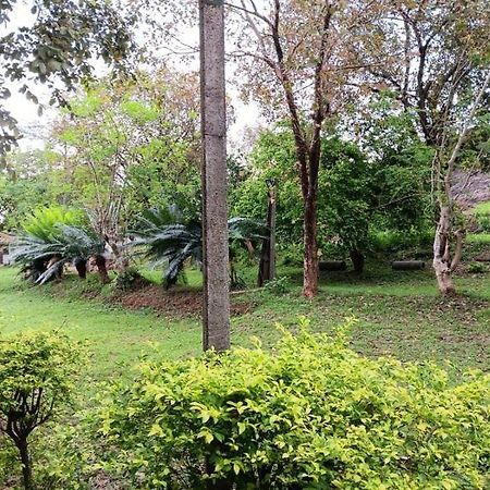 Aligama Cottage Talakolawela Экстерьер фото