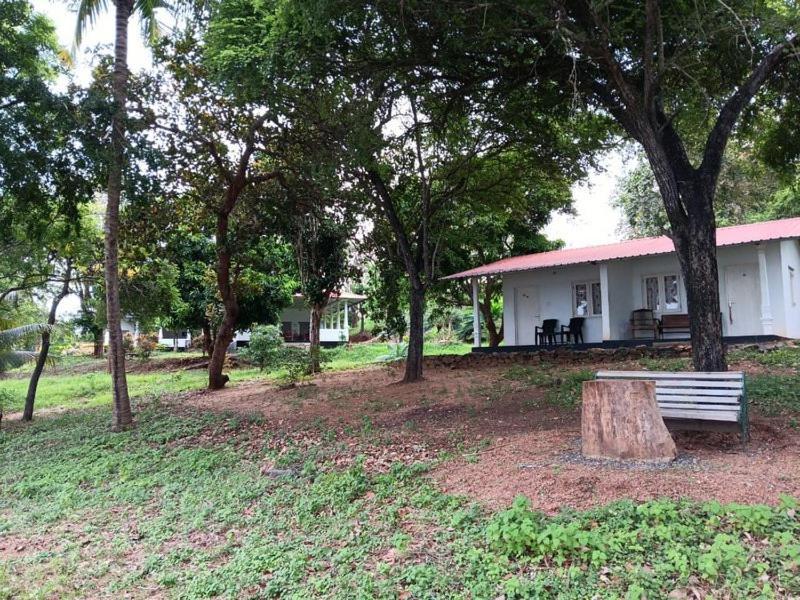 Aligama Cottage Talakolawela Экстерьер фото