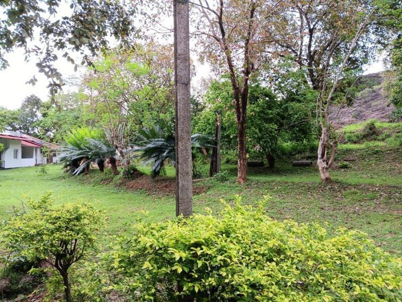 Aligama Cottage Talakolawela Экстерьер фото